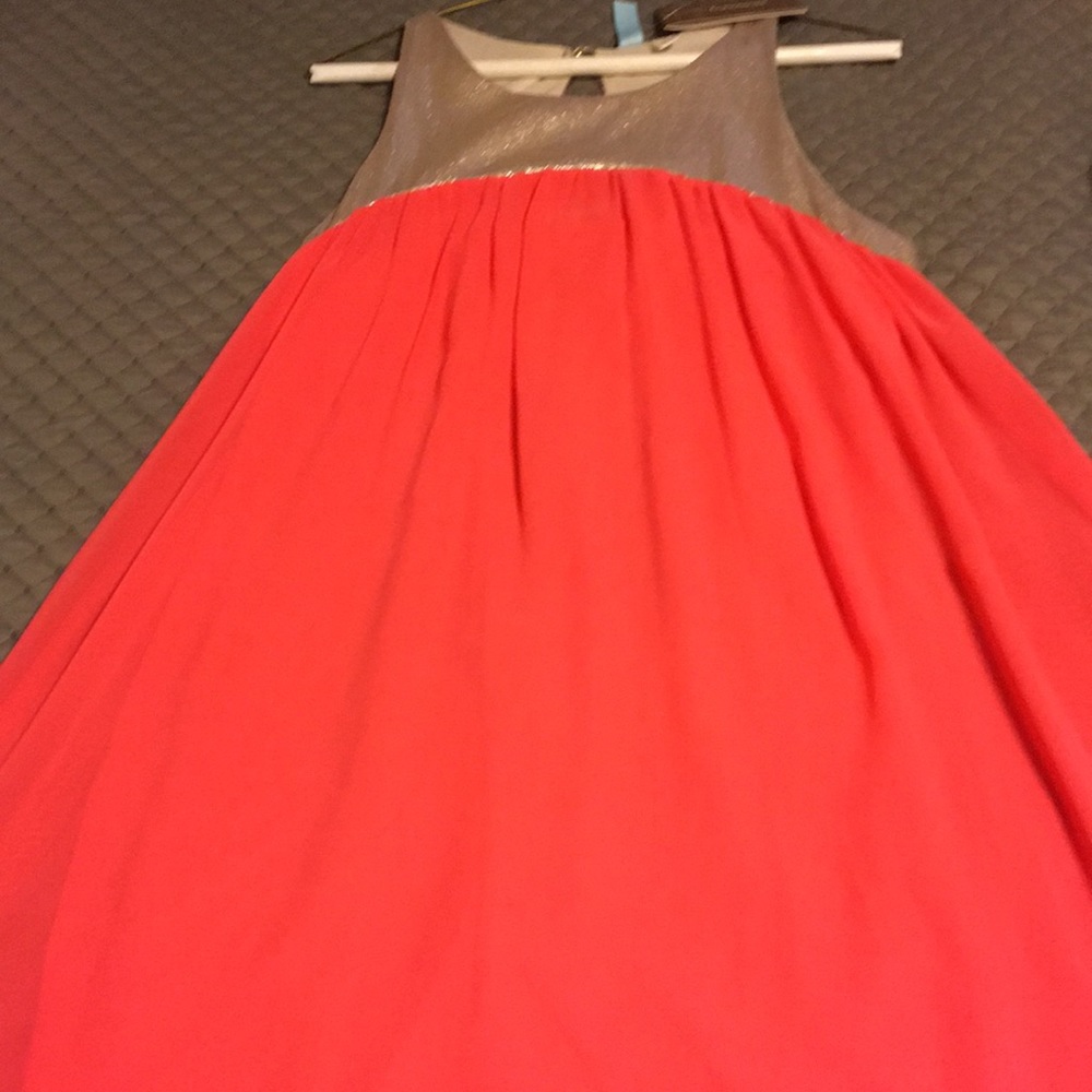 Francesca’s Orange and Gold Dress